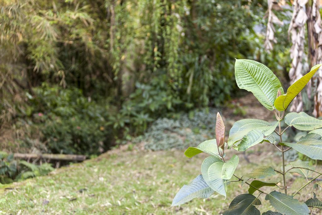 Pousada Quatro Estacoes Trindade  Bagian luar foto